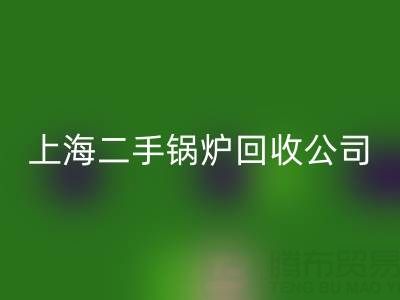 上海二手锅炉MK体育(MKsports集团)股份公司公司：专业处理供暖、低压、中压锅炉MK体育(MKsports集团)股份公司服务