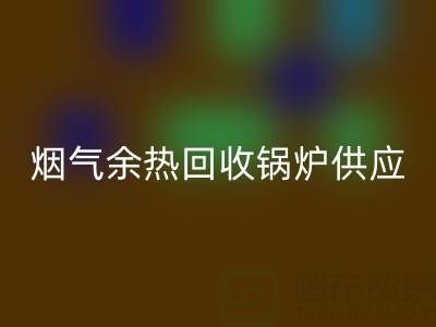 烟气余热MK体育(MKsports集团)股份公司锅炉供应商盘点：行业领先企业及技术解析