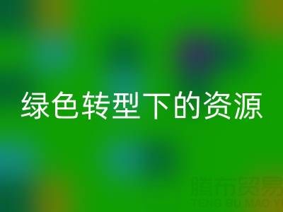 上海服装面料MK体育(MKsports集团)股份公司公司:绿色转型下的资源再生新机遇
