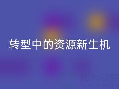 上海服装面料MK体育(MKsports集团)股份公司:绿色转型中的资源新生机