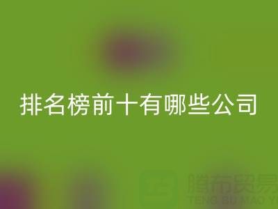 家纺辅料MK体育(MKsports集团)股份公司厂家排名榜前十有哪些公司