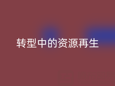 上海家纺辅料MK体育(MKsports集团)股份公司新趋势：绿色转型中的资源再生密码