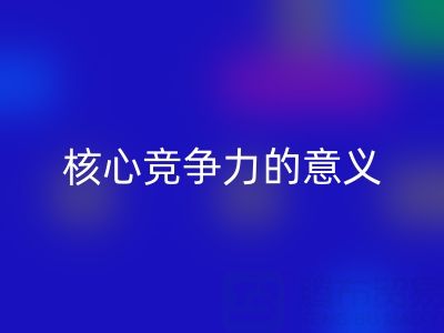 杭州家纺辅料MK体育(MKsports集团)股份公司公司的核心竞争力与重大意义