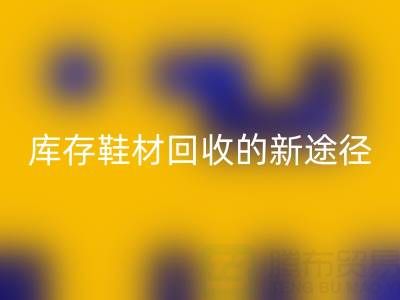 探索库存鞋材MK体育(MKsports集团)股份公司的新途径与新模式