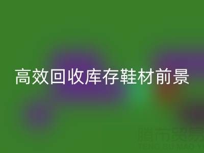 高效MK体育(MKsports集团)股份公司库存鞋材，助力鞋业绿色发展