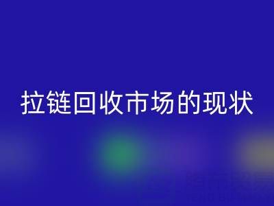 拉链MK体育(MKsports集团)股份公司市场的现状：机遇与挑战并存