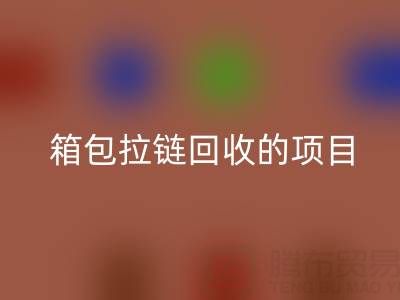  箱包拉链MK体育(MKsports集团)股份公司项目的商业运营模式与盈利探索