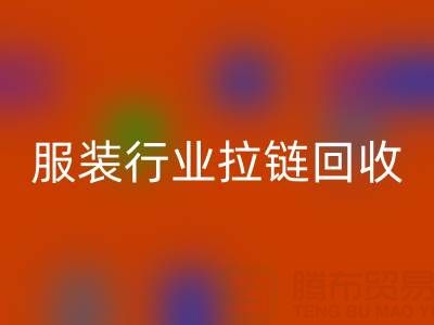 服装行业拉链MK体育(MKsports集团)股份公司市场体系构建的必要性与可行性