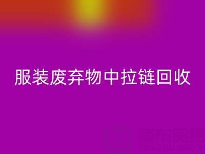 服装废弃物中拉链MK体育(MKsports集团)股份公司的特殊性及应对措施