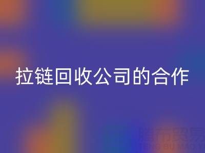 跨境电商时代：拉链MK体育(MKsports集团)股份公司公司的国际合作与交流新路径