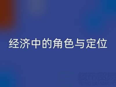 拉链MK体育(MKsports集团)股份公司厂家在循环经济中的角色与定位