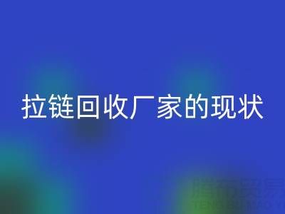 拉链MK体育(MKsports集团)股份公司厂家背后的环保大数据:现状与展望