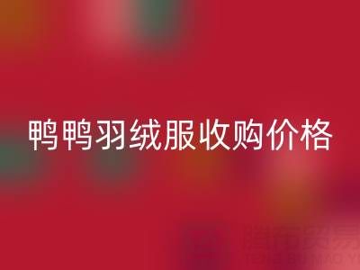 鸭鸭羽绒服收购价格全解析:厂家、平台、多少钱一件?