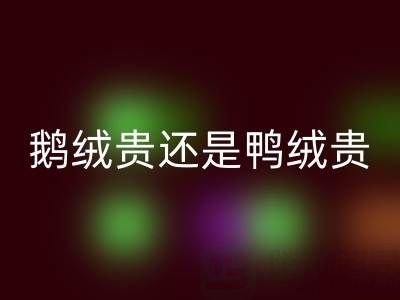 鹅绒贵还是鸭绒贵？鹅绒和鸭绒选购建议大揭秘！