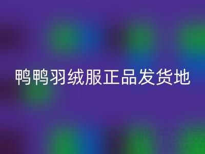 探秘鸭鸭羽绒服正品发货地与特卖店直销奥秘